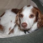 Turry's Coffee Celestine Bldg